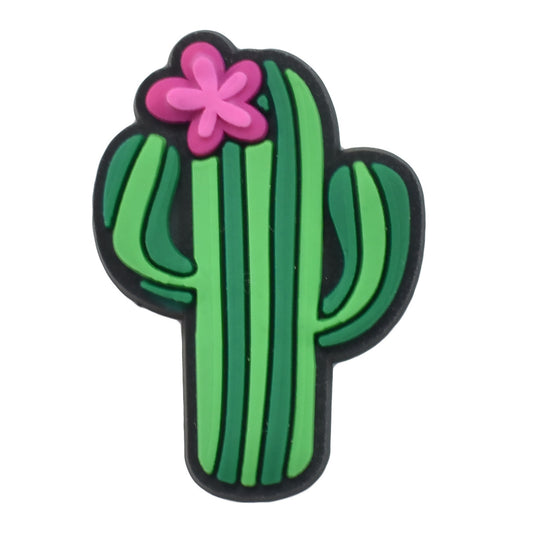 cute little cactus